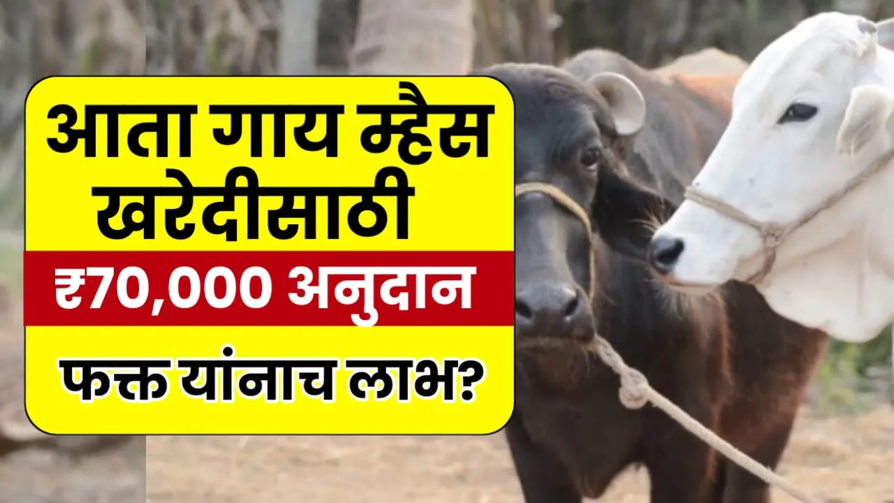 Gai Mhais Vatap Yojana