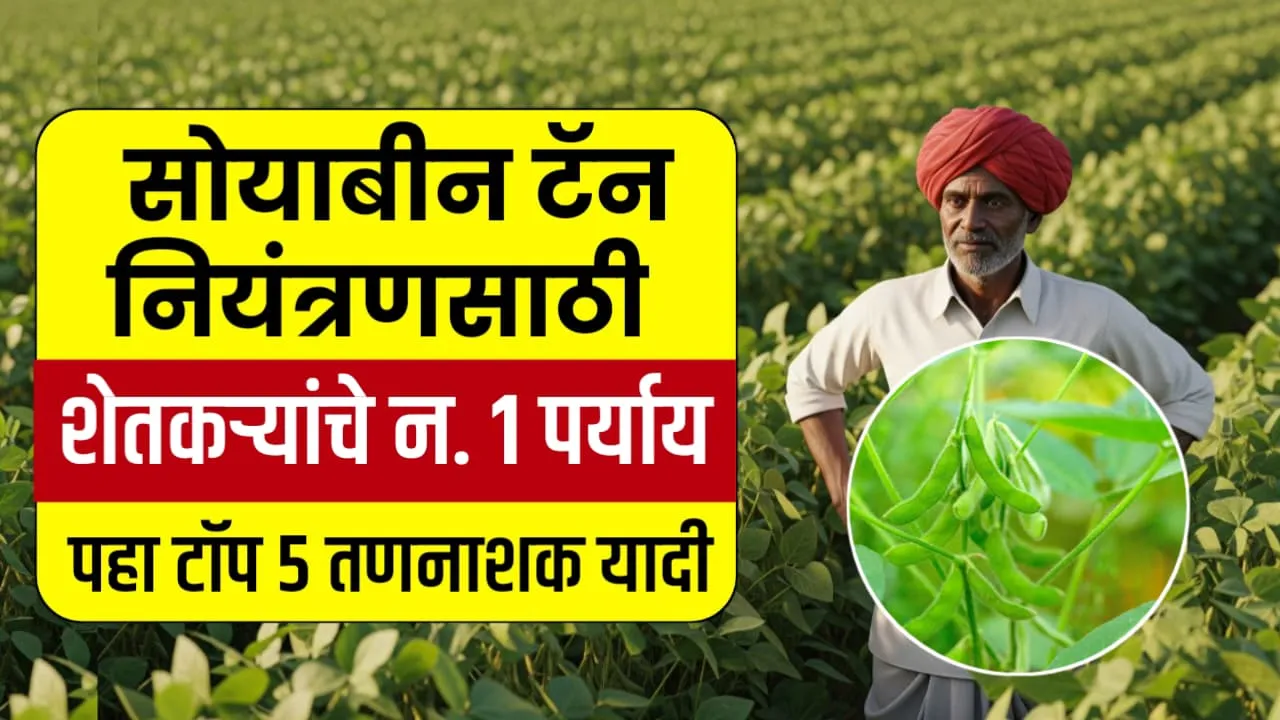 Soybean Weed Control